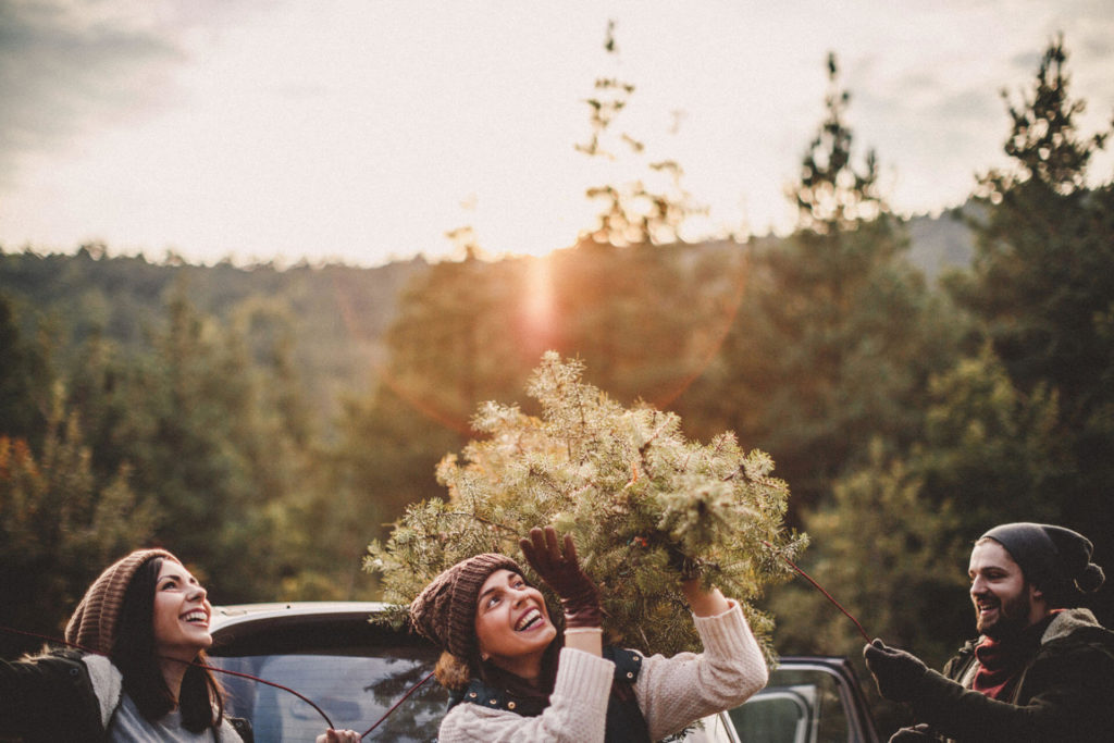 The great Christmas tree debate is real or fake better?